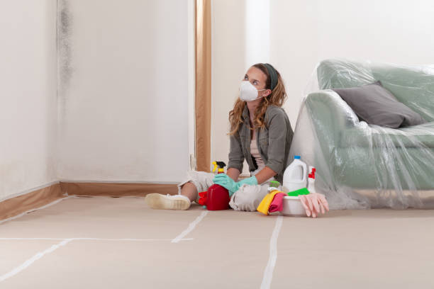 Reliable Black Mold Removal contractor in Friendship, MD by WQB Mold Removal